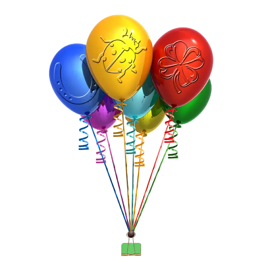 Servizi per feste private e ricorrenze